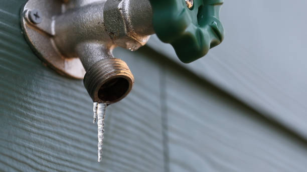 Best Plumbing Services Near Me  in Lexington, NC
